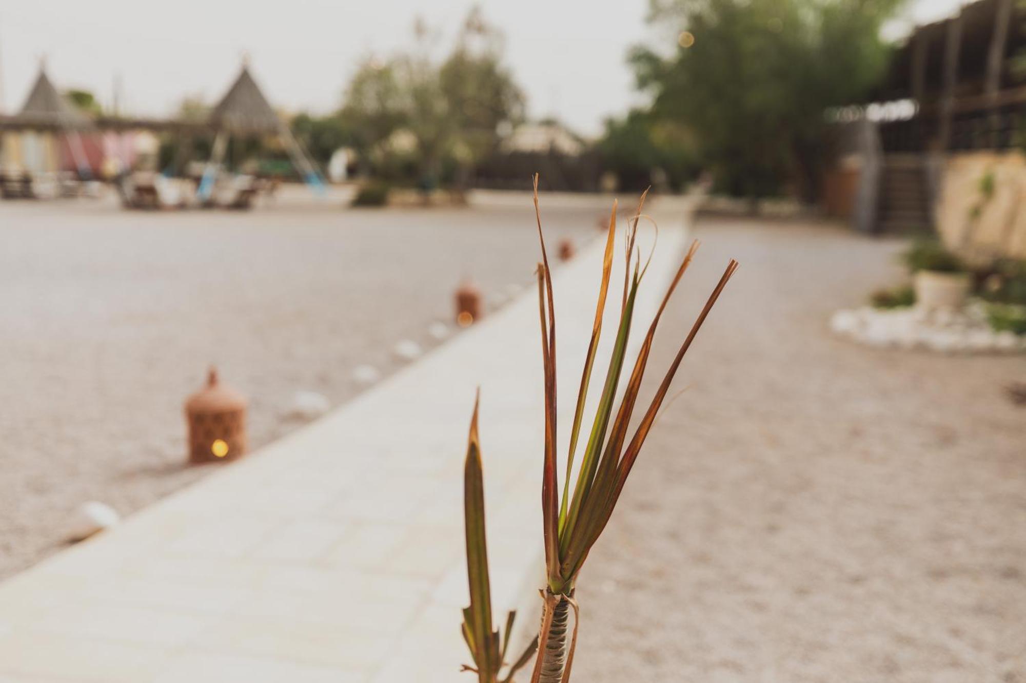 Jacob Mitzpe Ramon Otel Dış mekan fotoğraf